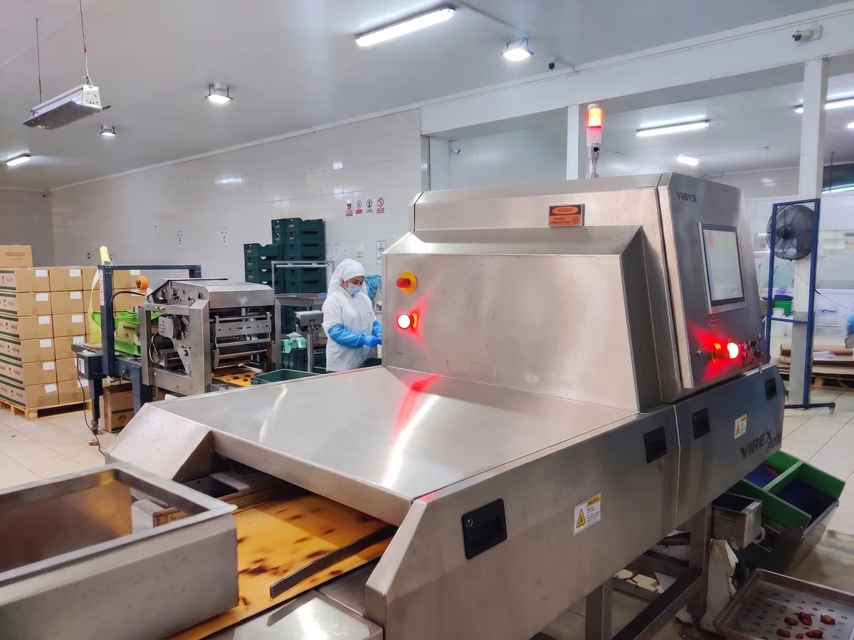 X-ray yabancı madde kontrol ünitesi